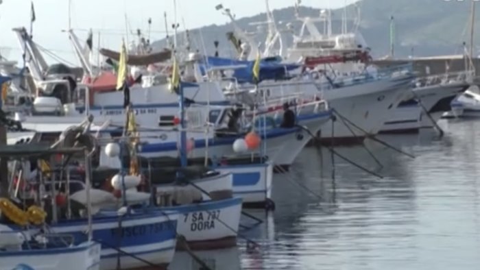 caro gasolio la protesta dei pescatori di castellabate