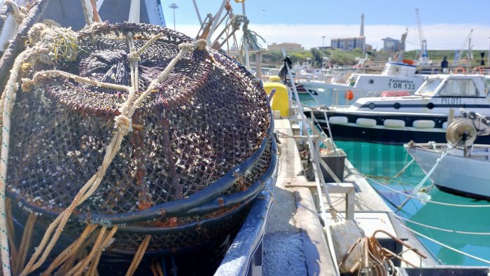 pesca lega campania chiede subito un contributo straordinario dalla regione