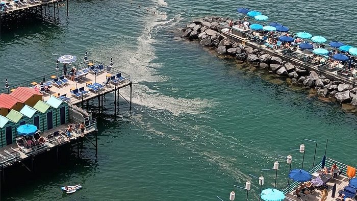 in penisola sorrentina allarme per le condizioni del mare la denuncia del wwf