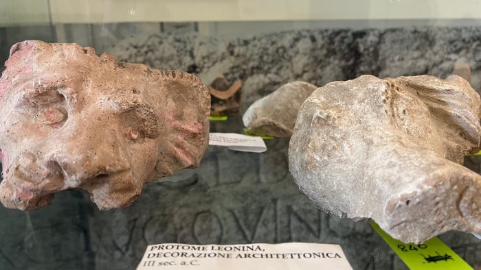 grottaminarda museo antiquarium avviso di selezione per il direttore