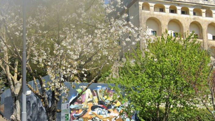 baronissi 14enne cade nel vuoto dopo una lite salvata dai rami