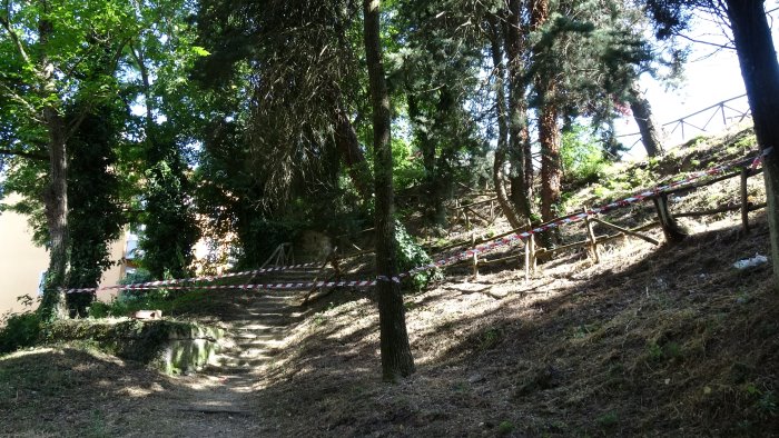 ariano ancora una volta a ferro e fuoco il boschetto pasteni