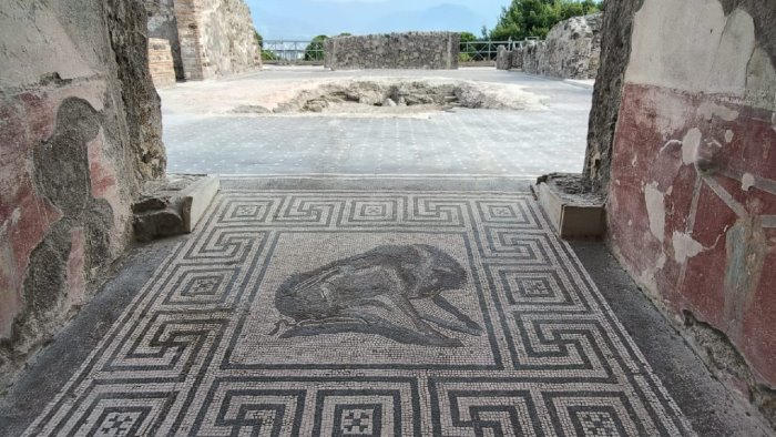 pompei visita speciale all insula meridionalis