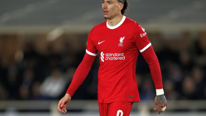 le cifre per il colpo darwin nunez dal liverpool