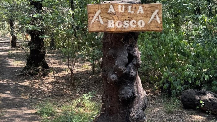 universita federico ii a napoli si inaugura l aula bosco