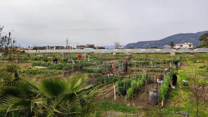 lotta ai clan dal governo ok al finanziamento da un milione per il fondo nappo