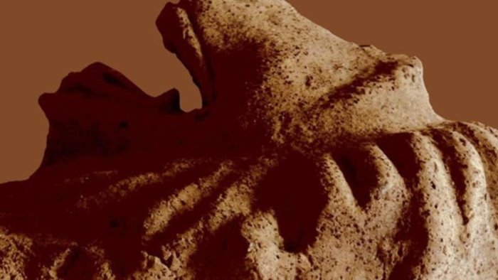 museo civico di solofra apre al pubblico con la sezione archeologica