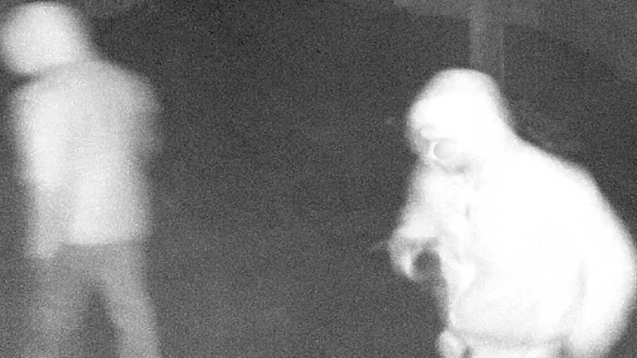 ladri in azione ad aiello del sabato il cane abbaia e li mette in fuga