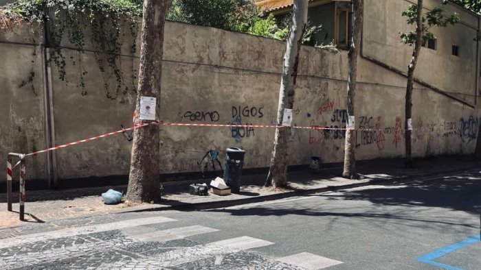 vomero capodanno no alla potatura dei platani il 3 giugno