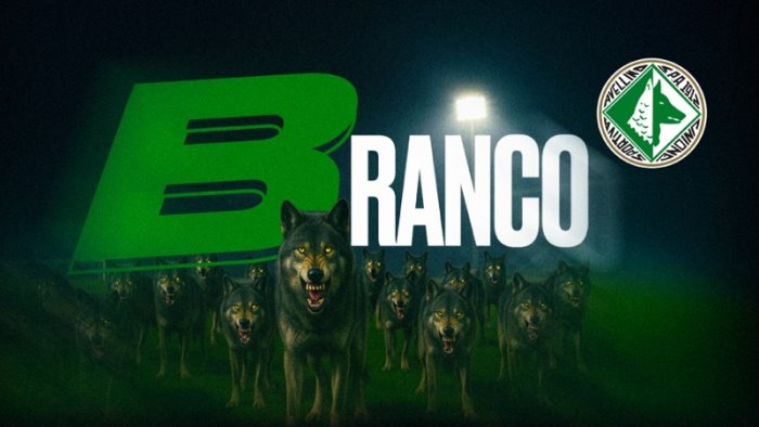 avellino ecco date e modalita della campagna abbonamenti 2025 2026