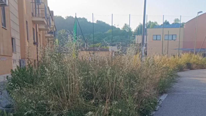 ariano erba alta e disagi nelle periferie l appello da martiri e viggiano