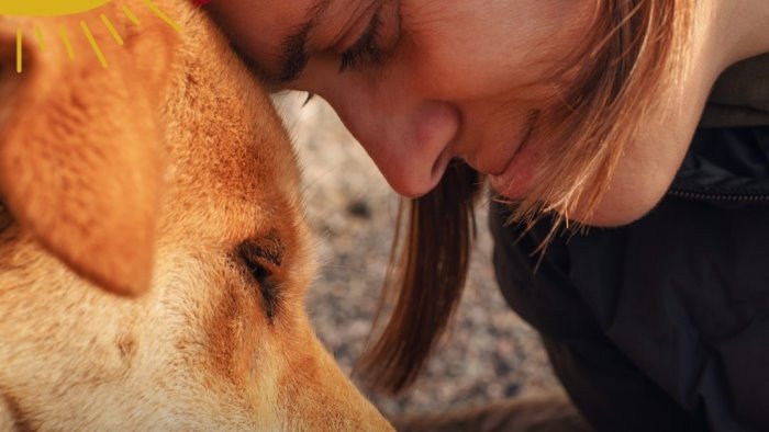 animali il caldo puo ucciderli il fattore di protezione sei tu