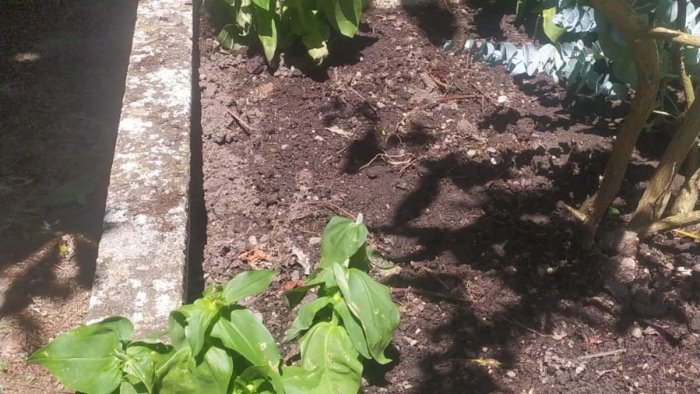 e poi ci sono ragazzini diseducati che per noia distruggono tutto