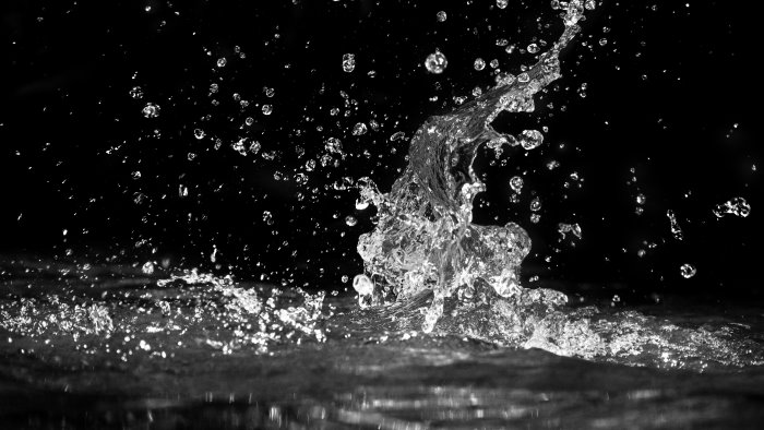 terre anfibie viaggio tra acqua e suolo per scoprire la biodiversita