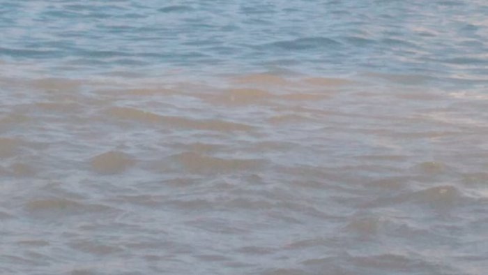 nuovo sversamento anomalo in mare a ischia