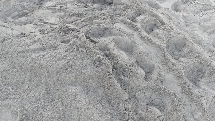 terzo nido di caretta caretta sulla spiaggia di acciaroli
