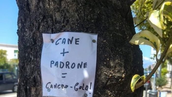 bellizzi ancora un altro cane e stato avvelenato