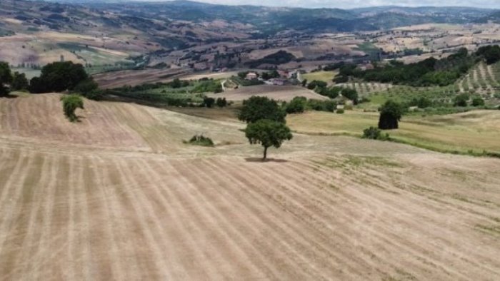 agricoltura necessaria liquidita per sostenere rilancio