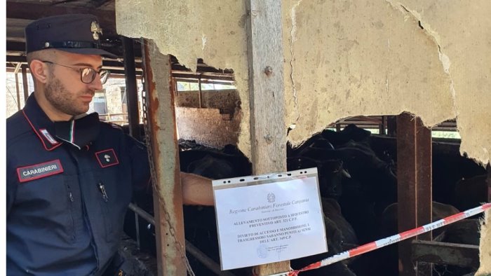 smaltimento illecito di rifiuti sequestrata vasca di raccolta