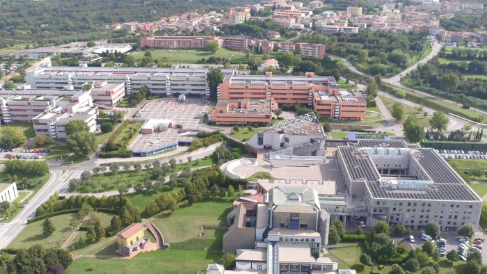 unisa tour da domani visite guidate in ateneo per le future matricole