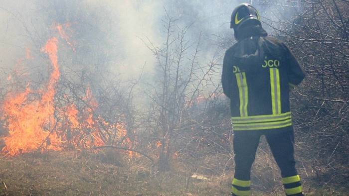 parco del partenio ecco l app per segnalare gli incendi