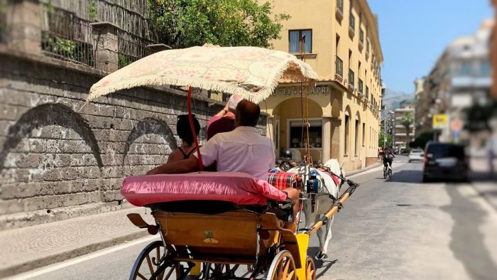 a sorrento e polemica sull ipotizzata ordinanza a tutela dei cavalli da traino
