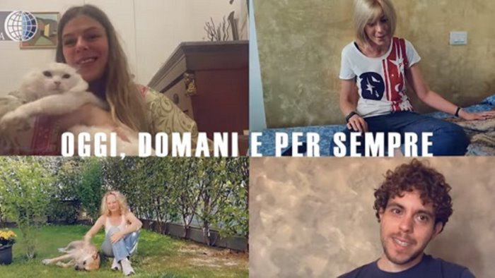 campagna estiva oipa contro il triste abbandono degli animali