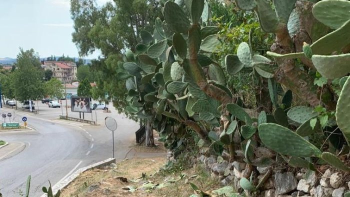 telese terme al via la manutenzione straordinaria su monte pugliano