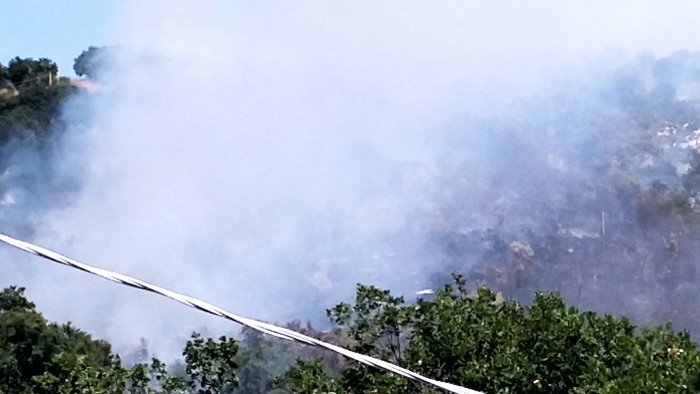 incendio sulle colline di agropoli vigili del fuoco in azione