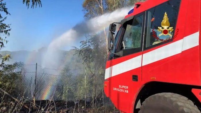 incendio devasta palmeto a capaccio distrutti oltre cento alberi