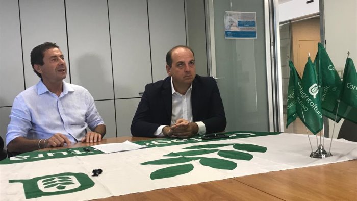 hub del freddo a battipaglia patto tra confagricoltura e asi salerno