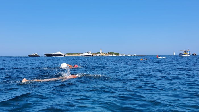 nuoto di fondo 200 partecipanti danno spettacolo nelle acque di castellabate