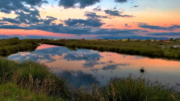 wwf italia a tutela del litorale domizio e dei monti tifatini c e il progetto
