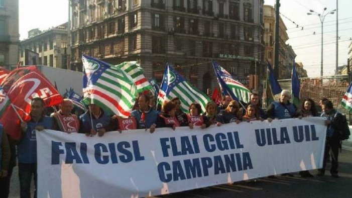 forestazione nuove assunzioni interinali cosi si alimenta il precariato