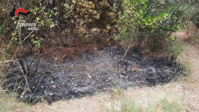 sorrento arrestato dai carabinieri un piromane nudista