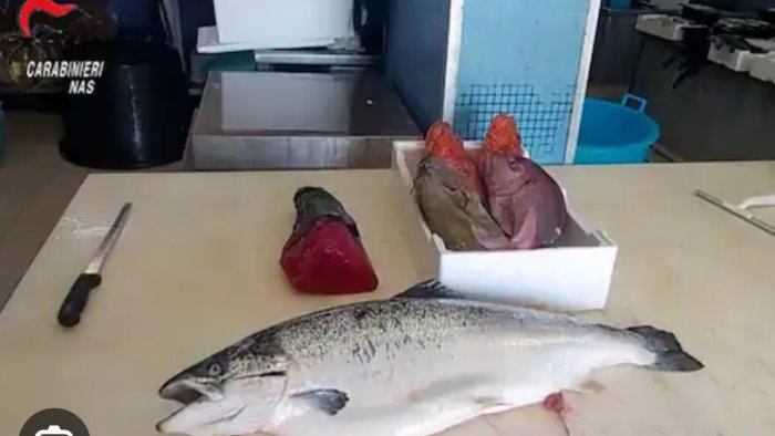 in rianimazione dopo aver mangiato tonno 11 arresti gemmato plauso al nas