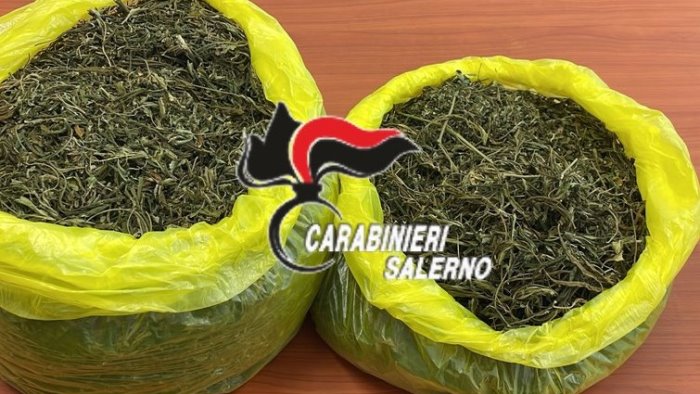 hashish e marijuana arrestato un 44enne di castelnuovo cilento