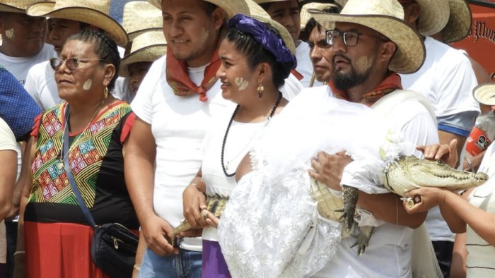 il sindaco che sposa un caimano 230 anni di tradizione per pace e prosperita