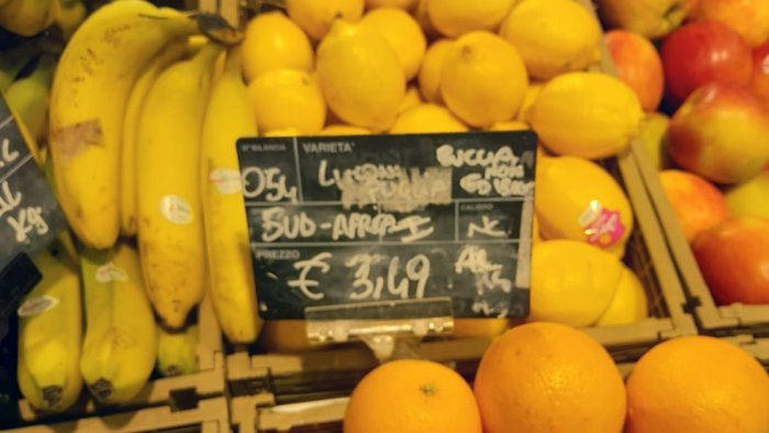 coldiretti campania attenti ai limoni africani dalla buccia non commestibile
