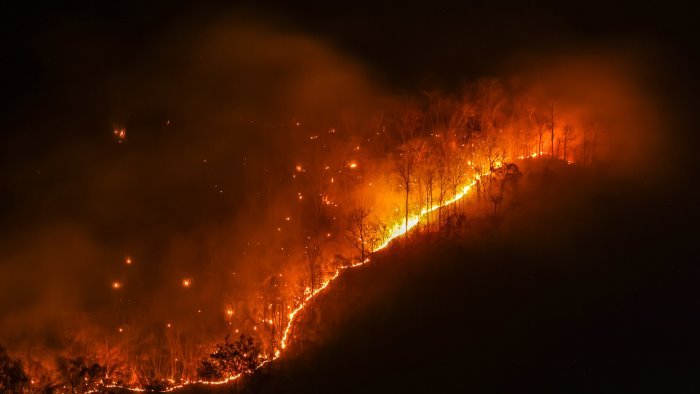 emergenza incendi nel cilento fiamme nel comune di pisciotta