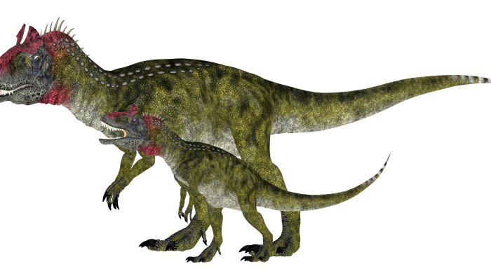 venduto all asta per 30 5 milioni il fossile di un giovane ceratosaurus