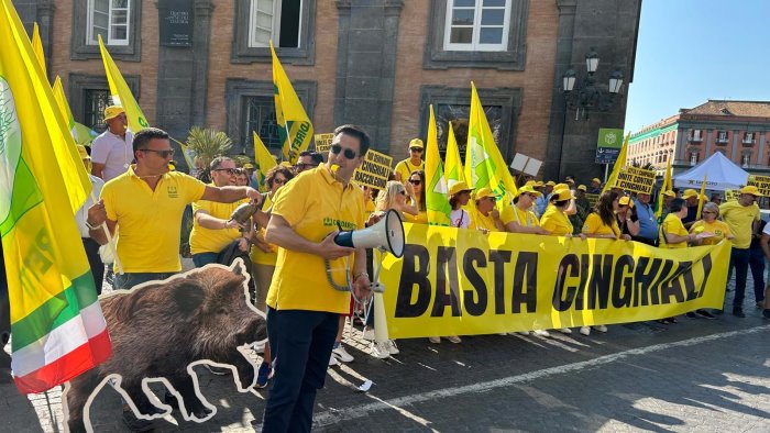 coldiretti caserta incontro in regione per contrastare la fauna selvatica