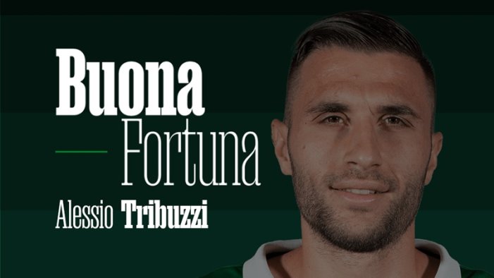 avellino ecco dove giochera tribuzzi arzillo e di paola in prestito