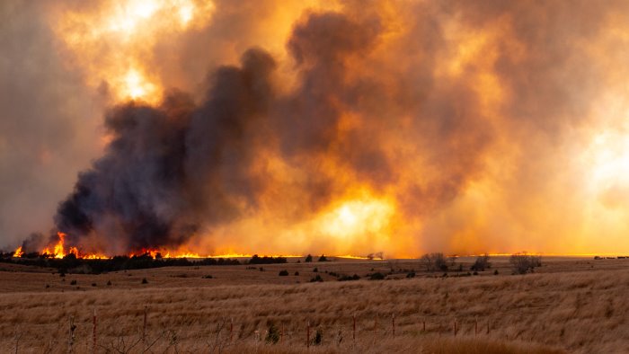 incendi in 4 comuni del salernitano fumo visibile per chilometri