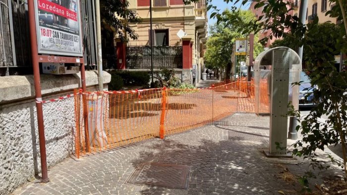 napoli via tino di camaino transennata la fitolacca dioica