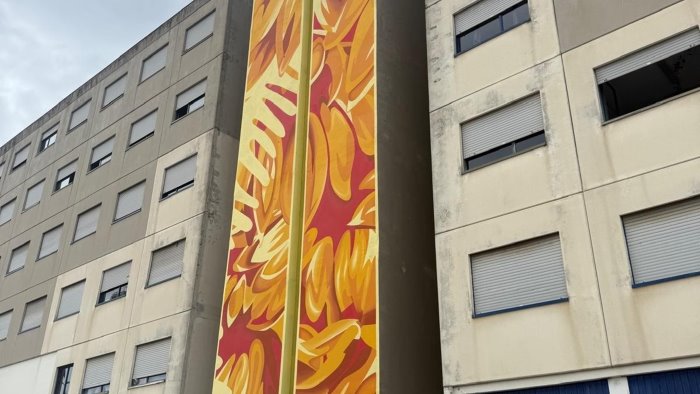 secondigliano un segno di speranza sulle mura del carcere