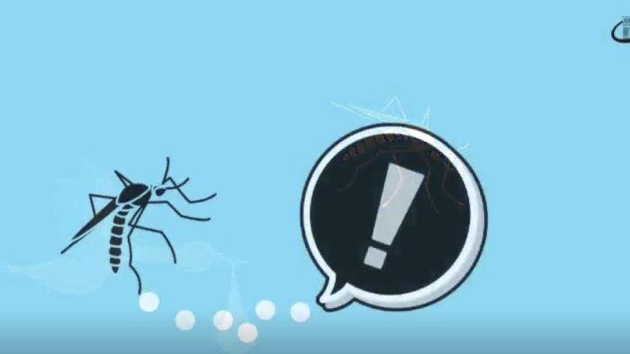 virus west nile la prefettura ai comuni effettuate le disinfestazioni