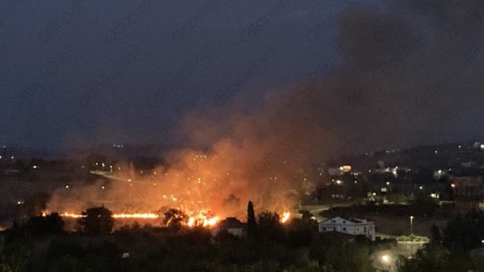 cervinara diffidati i proprietari di terreni infestati da erbacce e sterpaglie