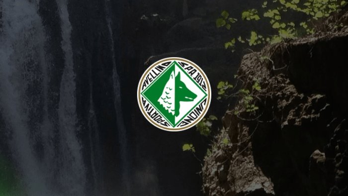 avellino ecco il programma a montella con tre eventi per i lupi