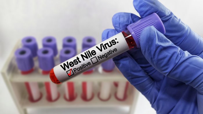 west nile virus il ministero lancia la piattaforma nazionale
